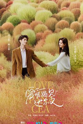 美食行业网站优化宣传